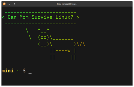 Can Mom Survive Linux?